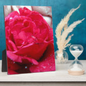 Red Rose Fotoplaat (Zijkant)