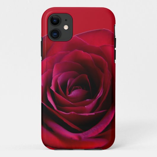 Red Rose iPhone 5 Coque Rose coque iphone (Dos)