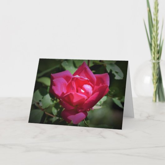 Red Rose, kaart (Voorkant)