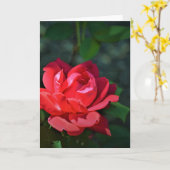 Red Rose, kaart (Gele Bloem)