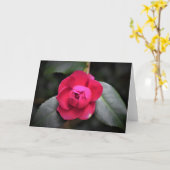 Red Rose, kaart (Gele Bloem)