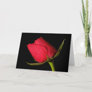 Red Rose Kaart