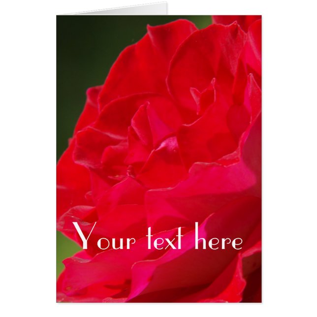 Red Rose - Kaart (Voorkant)