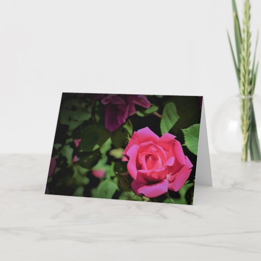 Red Rose, kaart (Voorkant)