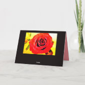 Red Rose Kaart (Achterkant)