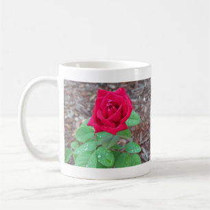 Red Rose Koffiemok