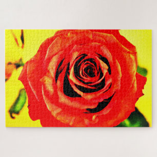 Red Rose Legpuzzel