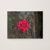 Red Rose Legpuzzel (Horizontaal)