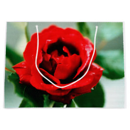 Red Rose Love Groot Cadeauzakje
