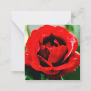 Red Rose Love Notitiekaartje