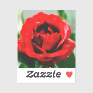 Red Rose Love Sticker