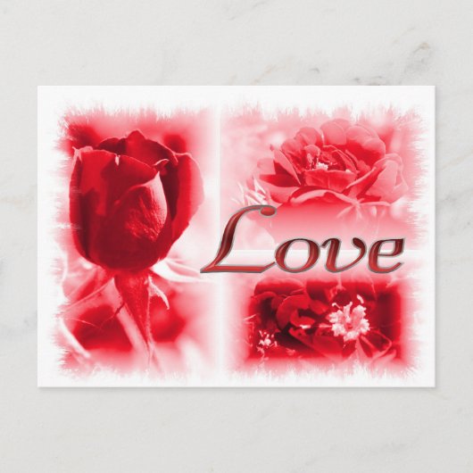 Red Rose Love Trio Briefkaart (Voorkant)