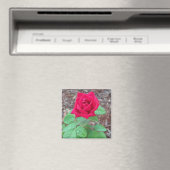 Red Rose Magneet (Insitu (Vaatwasser))