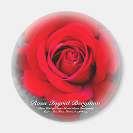 Red Rose Magneet
