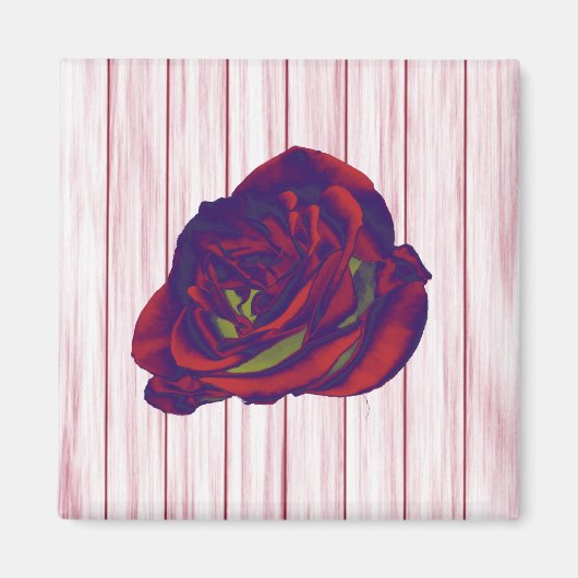 Red Rose Magnet Magneet (Voorkant)