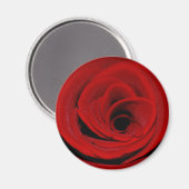 Red Rose Magnet Magneet (Voorkant / Achterkant)