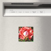 Red Rose Magnet Magneet (Insitu (Vaatwasser))