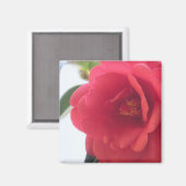 Red Rose Magnets Magneet (Voorkant / Achterkant)