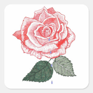 Red Rose met dauwdruppels uit petals Vierkante Sticker