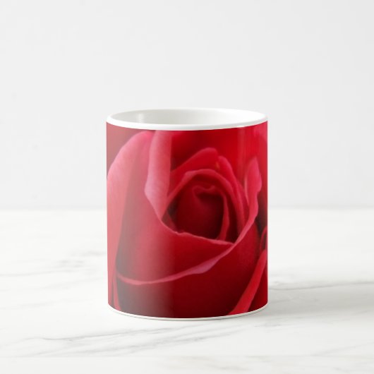 Red Rose Mok (Center)