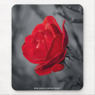 Red Rose Mousepad Muismat