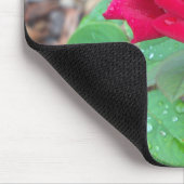 Red Rose Muismat (Hoek)