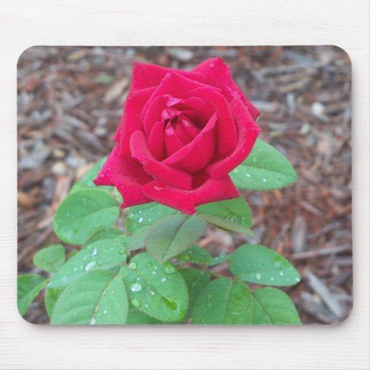 Red Rose Muismat (Voorkant)