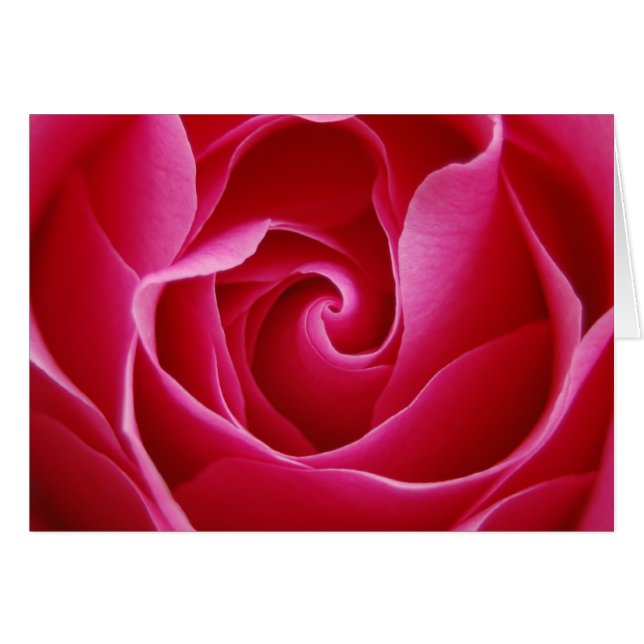 Red Rose Notecard (Voorkant Horizontaal)