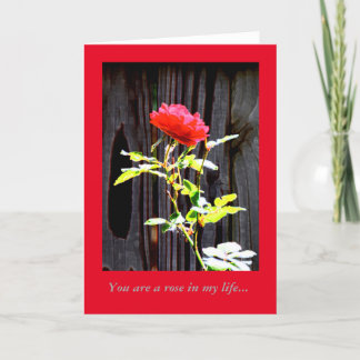 Red Rose om waardering of liefde te uiten Kaart