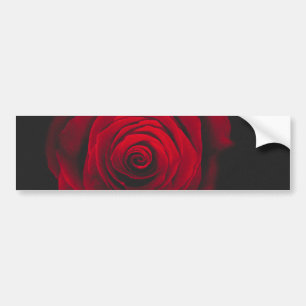 Red rose on black background vintage effect bumpersticker
