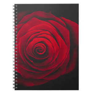 Red rose on black background vintage effect notitieboek