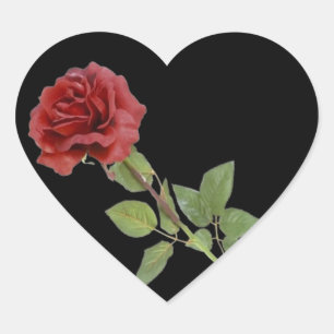 Red Rose op Black Hart Sticker