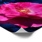 Red Rose op Blue Tint Abstracte ventilator Poster (Hoek)