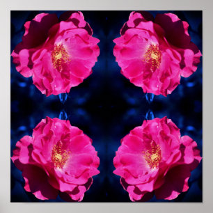 Red Rose op Blue Tint Abstracte ventilator Poster