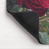 Red Rose Pair Muismat (Hoek)