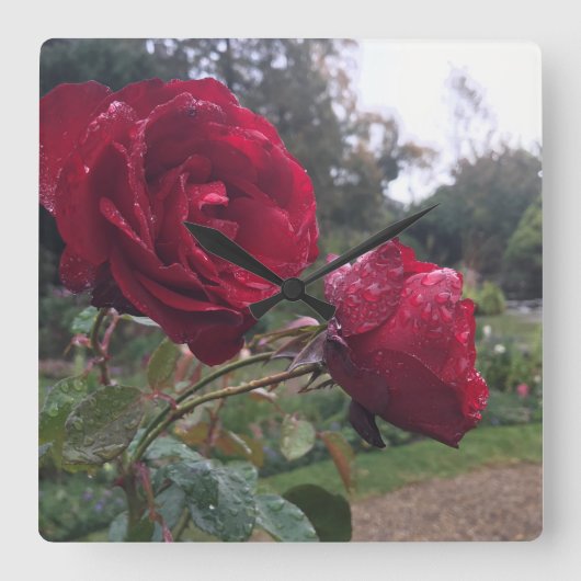 Red Rose Pair Vierkante Klok (Voorkant)