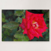 Red Rose Photo Puzzle (Horizontal)