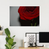 Red Rose Poster (Thuiskantoor)