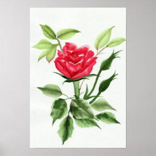 Red Rose Poster