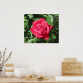 Red Rose Poster (Keuken)