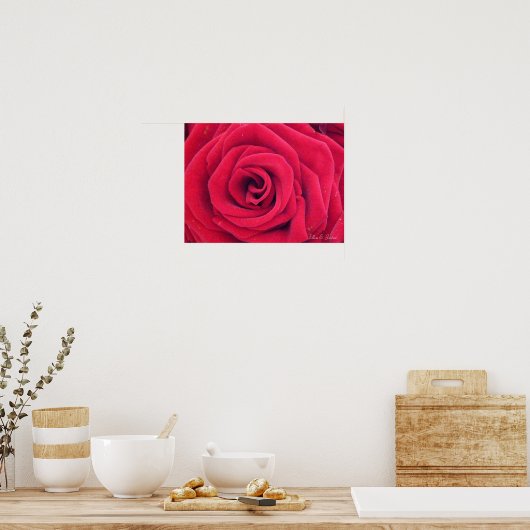 Red Rose Poster (Keuken)