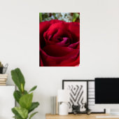 Red Rose Poster — Afdruk prachtige, langwerpige Ar (Thuiskantoor)
