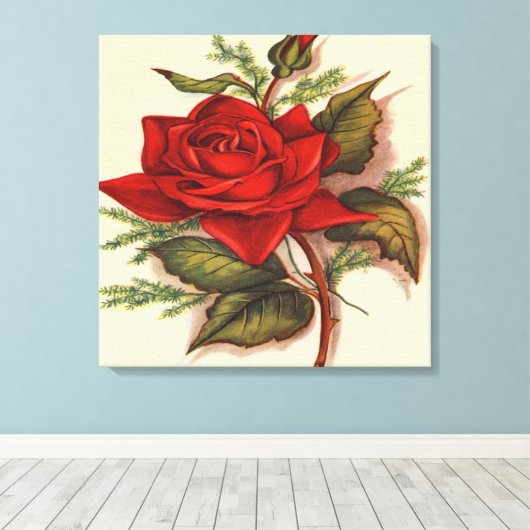 Red Rose Premium Verpakt Canvas (Glans) (Insitu (Houten vloer))
