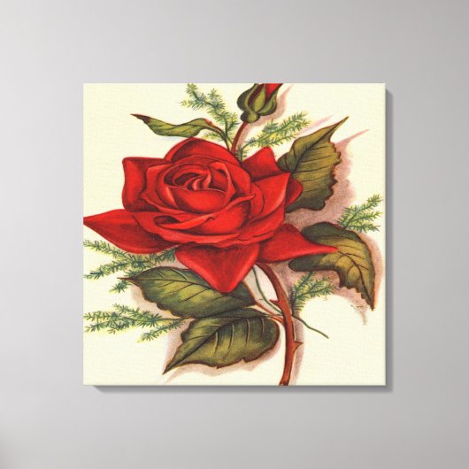 Red Rose Premium Verpakt Canvas (Glans) Afdruk (Voorkant)
