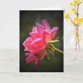 Red Rose & Raindrops, carte (Fleur jaune)