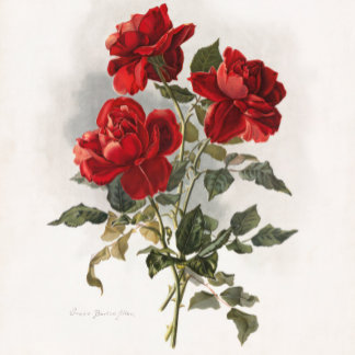 Red Rose ,Romantische Rozen. Tote Bag