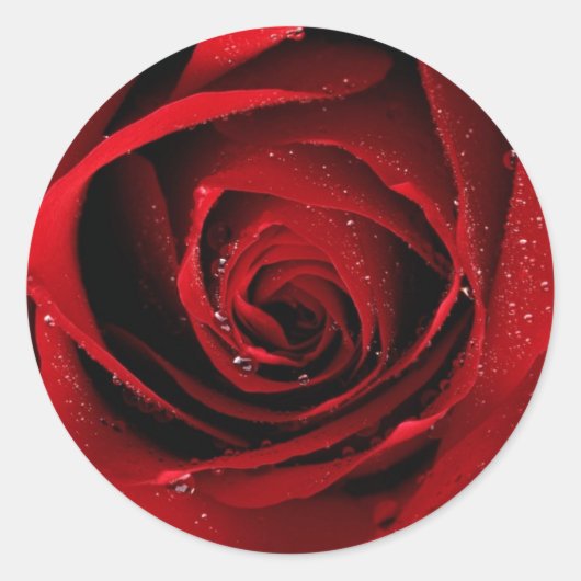 Red Rose Seals Ronde Sticker (Voorkant)