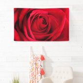 Red Rose Spandoek (Insitu)