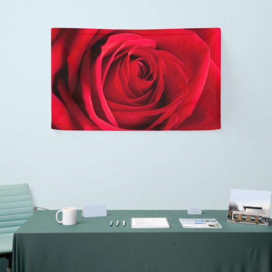Red Rose Spandoek (Beurs)