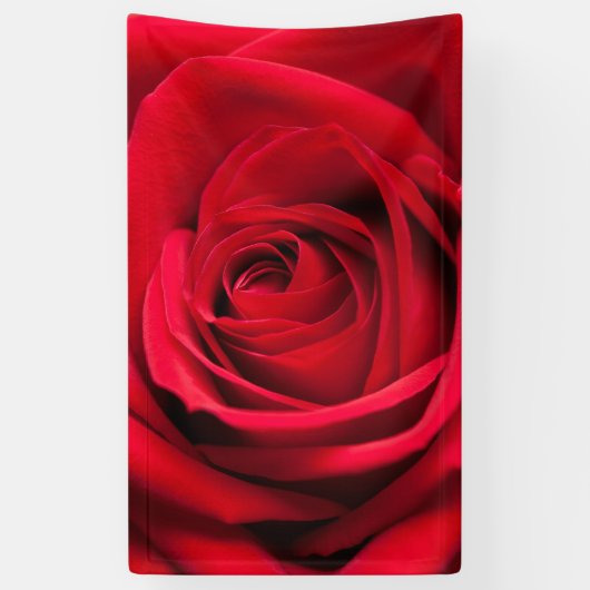 Red Rose Spandoek (Verticaal)